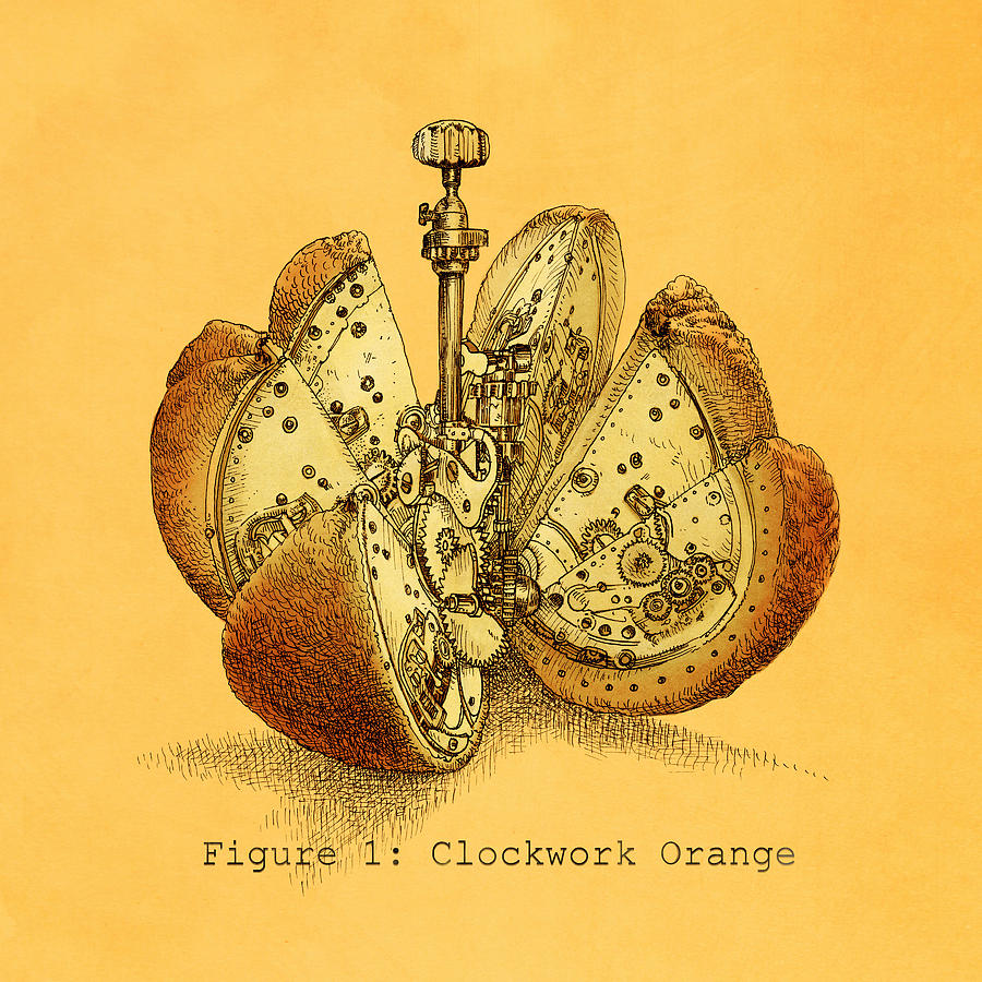 Orange Drawing - Steampunk Orange by Eric Fan