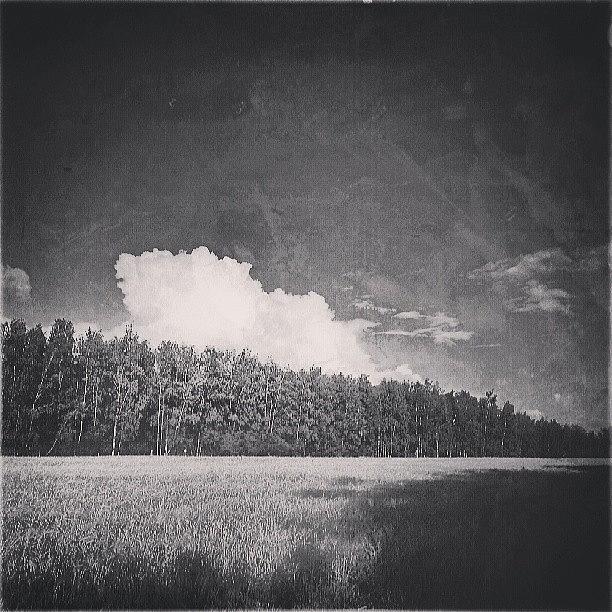 Summer Photograph - A #cloud & A #shadow ... #solo_cloud by Linandara Linandara