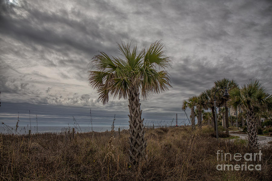 A cloudy day at the Beach Photograph by Robert Loe
