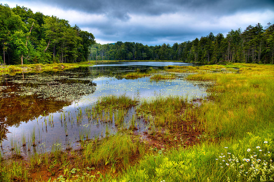 A Cloudy Summer Day at Fly Pond Photograph by David Patterson