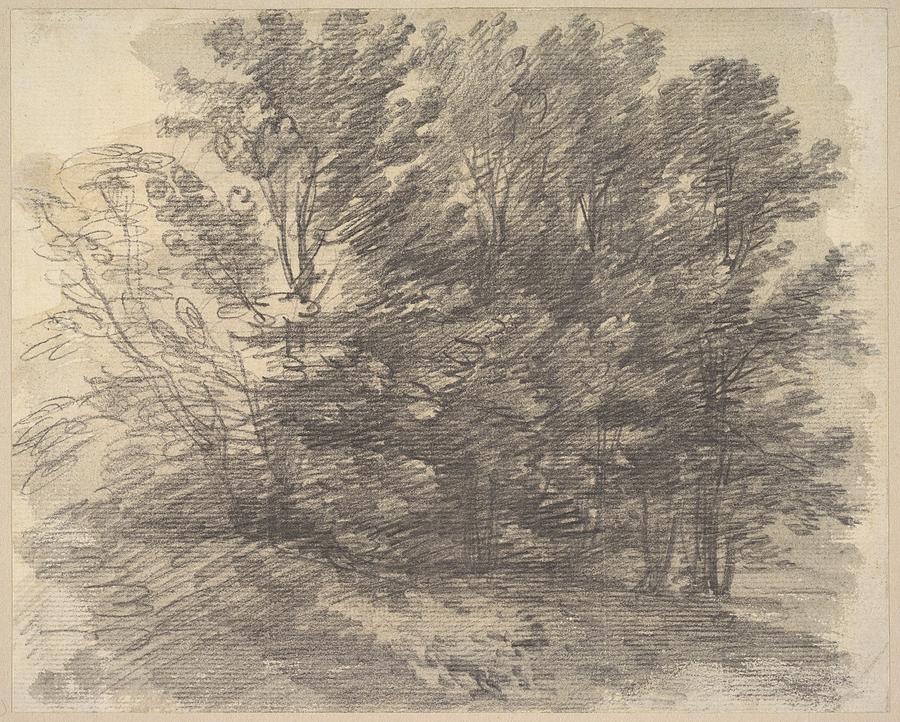 A Clump Of Trees Drawing By Thomas Gainsborough 