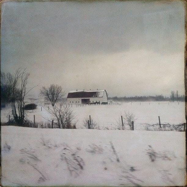 Sussex Photograph - A Cold Bleak Day  #hipstamatic #lowy by Sharon Wilkinson