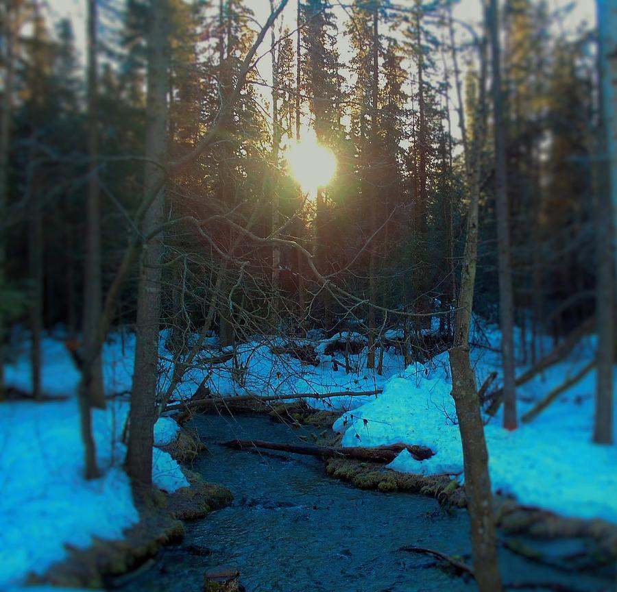 A Cold Winter's Day Photograph by Jessica Stroud - Fine Art America