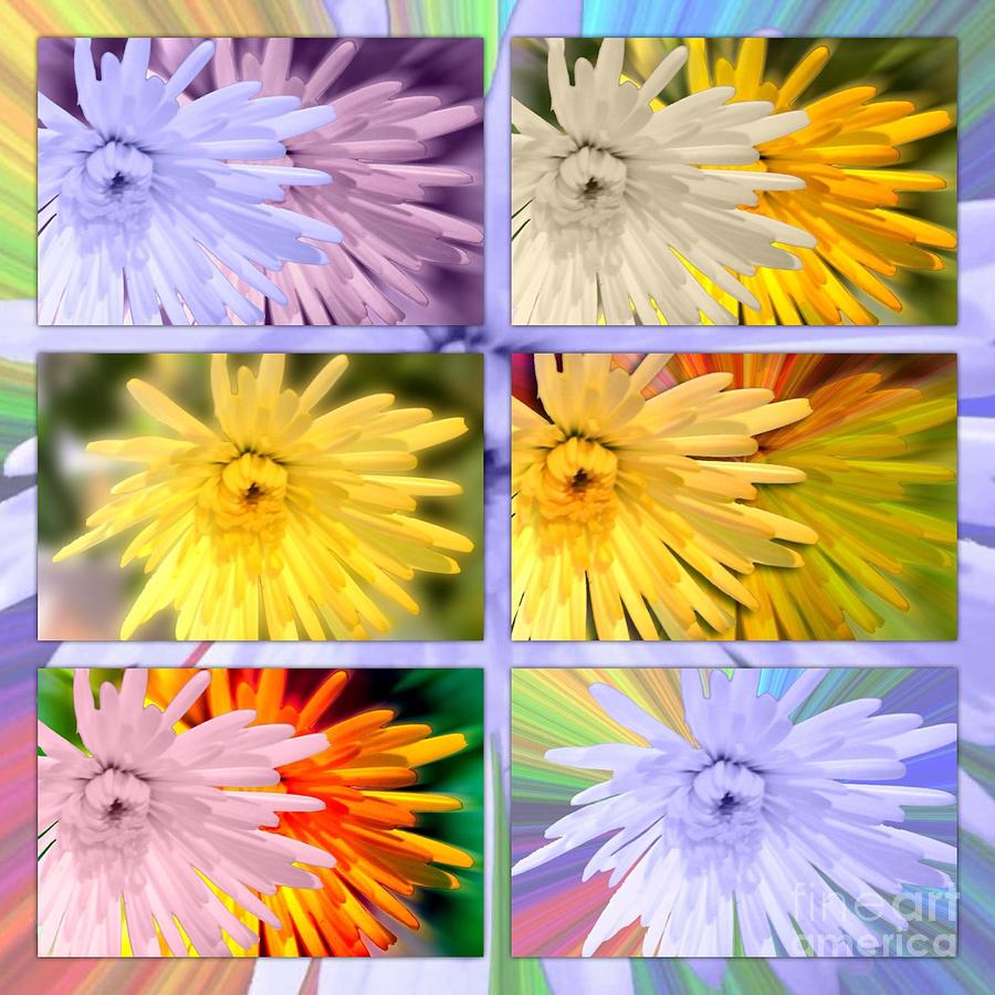 A Rainbow Collage Of My Dahlia Designs Photograph