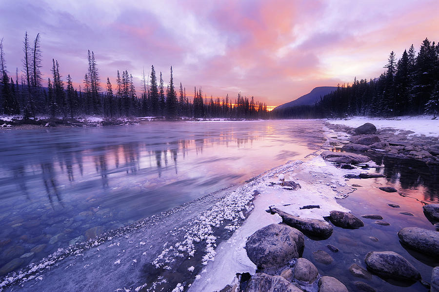 A Colorful Morning by Yu Liu Photography