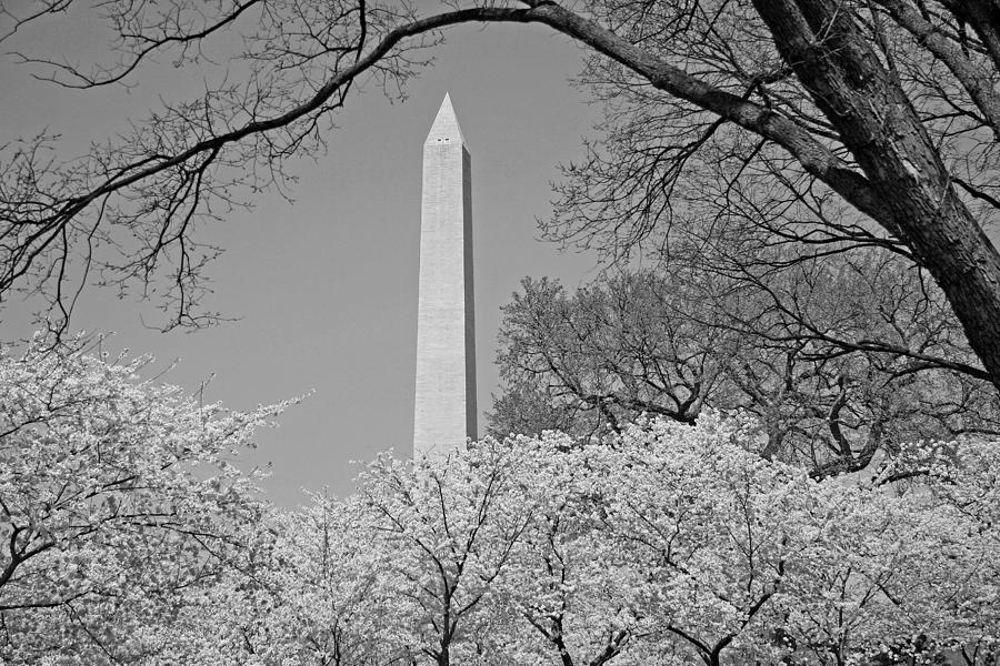 A Colorless Washington Photograph by Cora Wandel