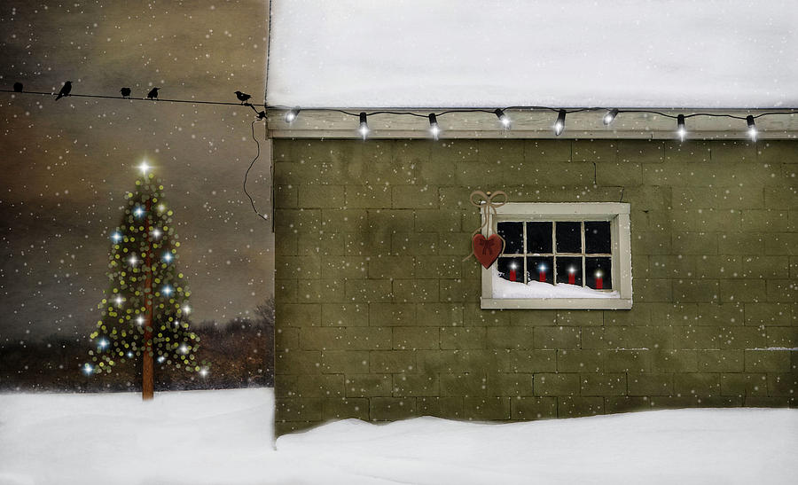 Bird Photograph - A Common Thread Christmas by Robin-Lee Vieira
