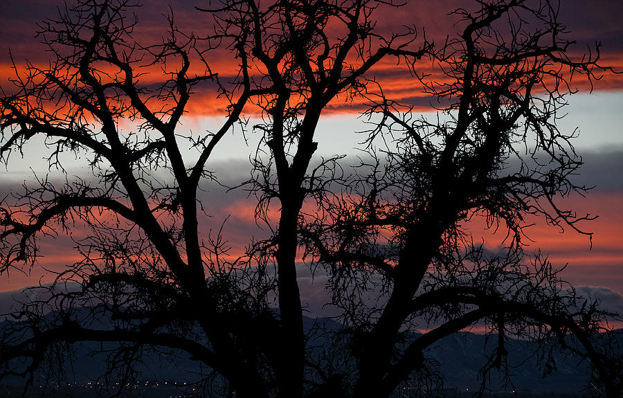 A Cottonwood Sunset Photograph by Eric Rundle