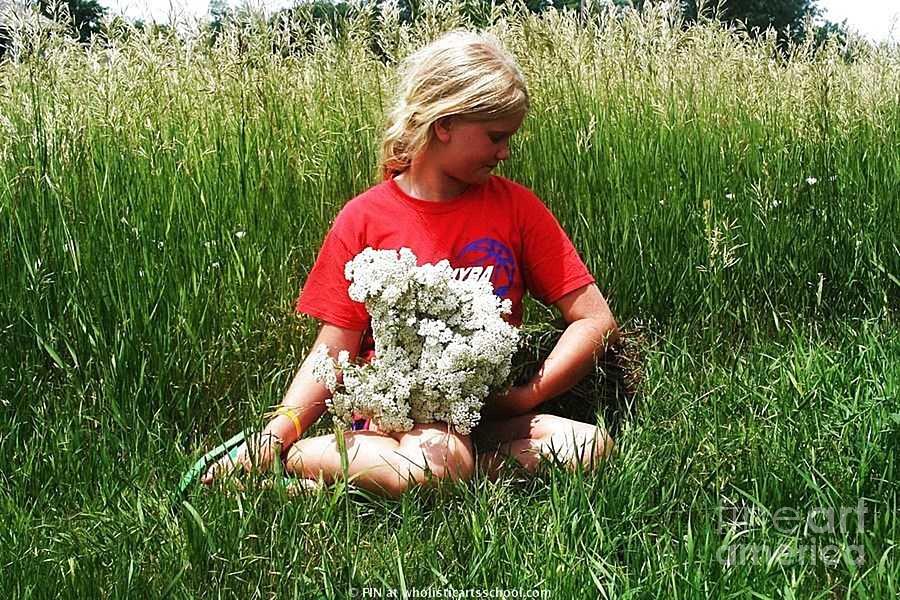 A Country Girl Gathering Achillea Millefolium Yarrow Duizendblad Photograph by PainterArtist FIN