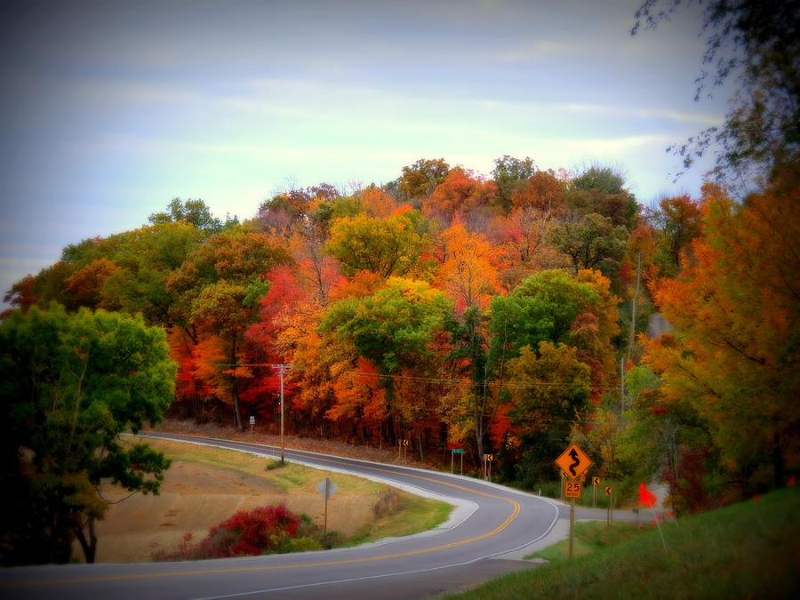 Fall Photograph - A Country Road In Autumn 1 by Kay Novy