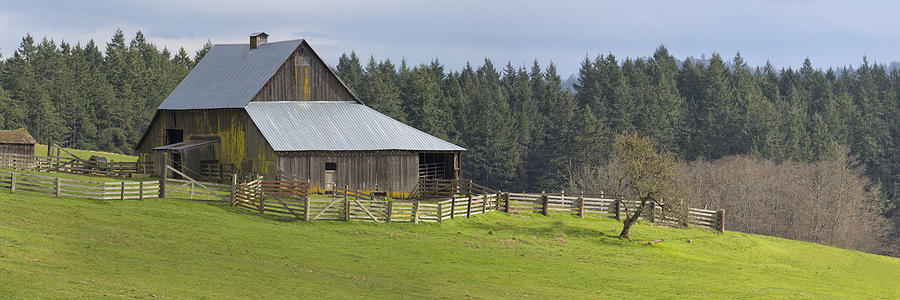 A Country Scene Photograph by Bob Stevens