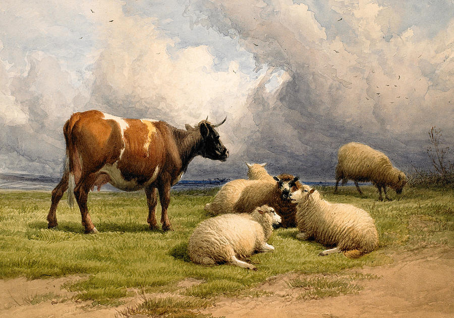 Thomas Sidney Cooper Painting - A Cow and Five Sheep by Thomas Sidney Cooper
