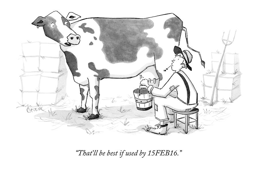 A Cow Says To The Farmer Who Milks Him Drawing by Chris Cater