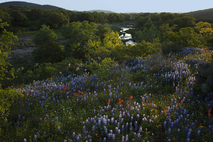 A Creek in Llano County Photograph by Susan Rovira | Fine Art America