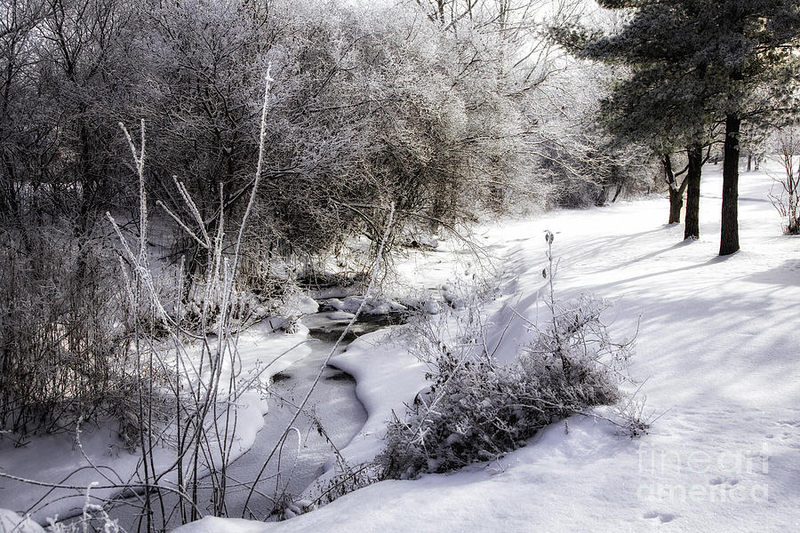 A Creek Runs Through It 1 Photograph by Timothy Hacker