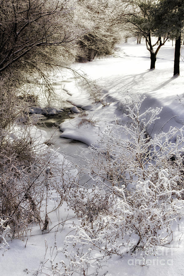 A Creek Runs Through It 4 Photograph by Timothy Hacker