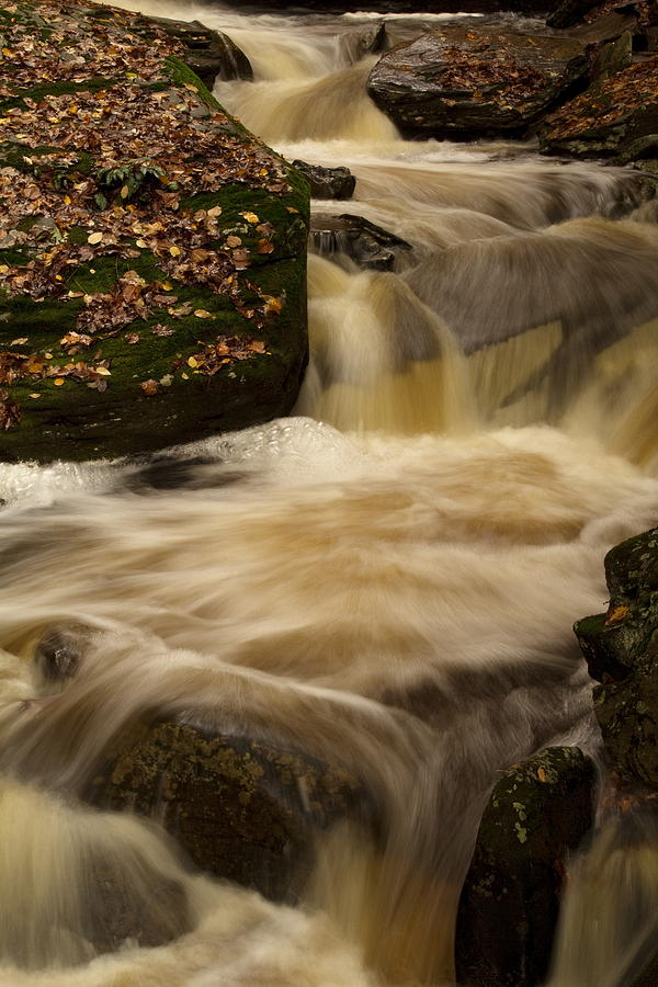 A Creek Runs Through It Photograph