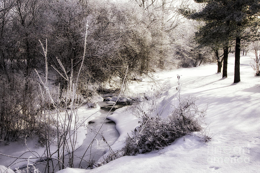 A Creek Runs Through It Photograph by Timothy Hacker