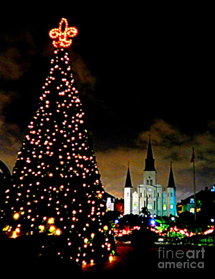 A Creole Christmas Photograph by Michael Hoard