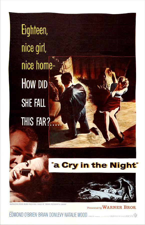 A Cry In The Night, Us Poster Art, Left Photograph by Everett