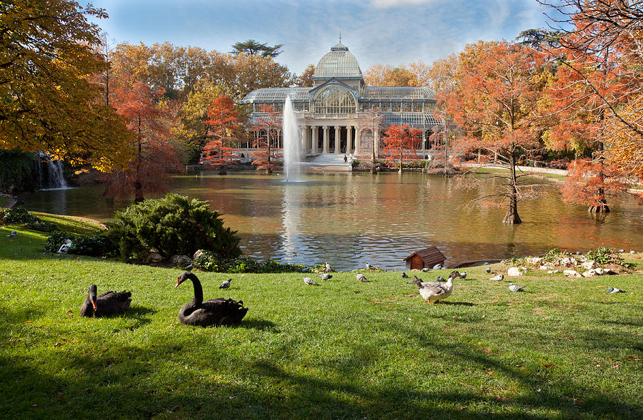 A Crystal Palace in Retiro Park, Madrid Photograph by Bravo1954
