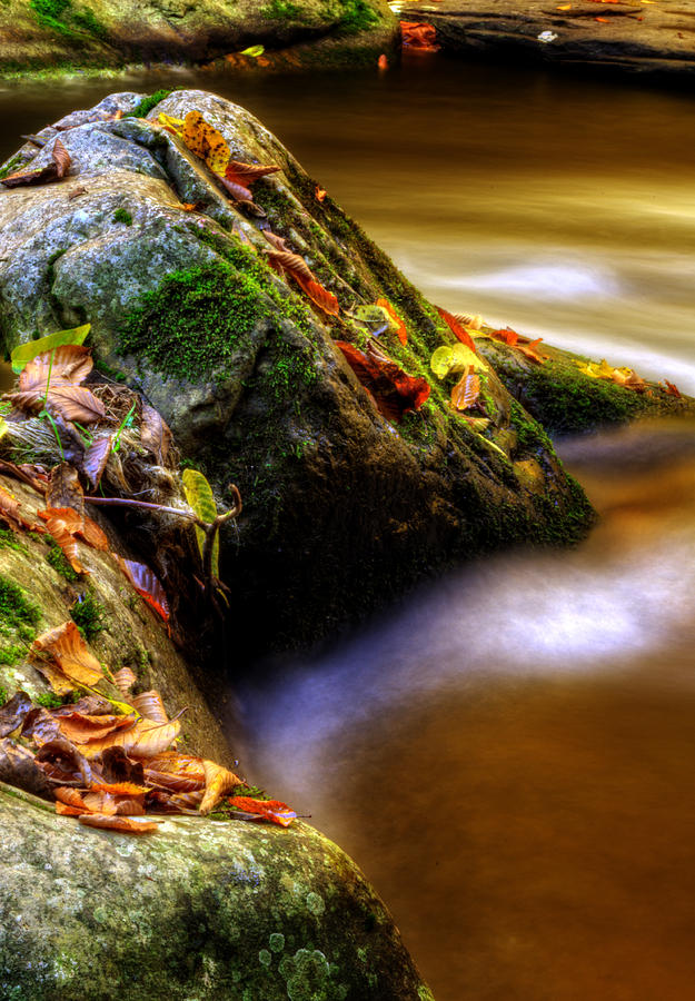 Water Photograph - A Curve In The Creek by Greg and Chrystal Mimbs
