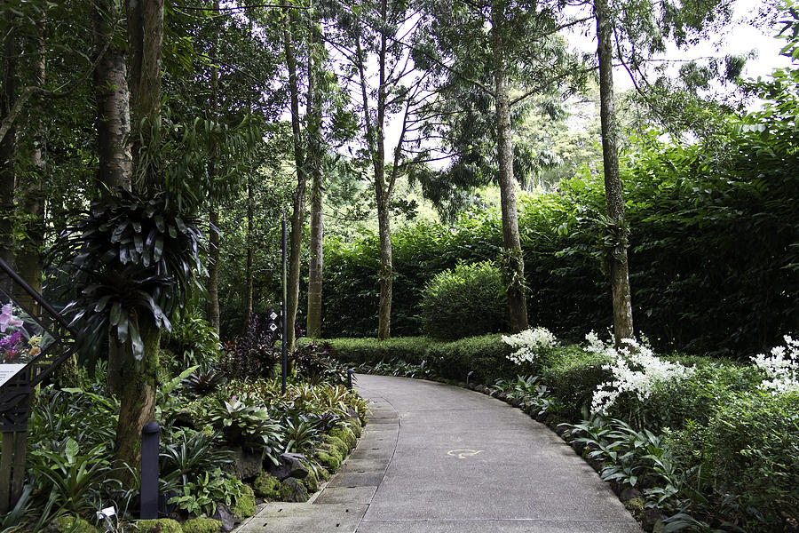 A curved walking path inside the National Orchid Garden in Singapore Photograph by Ashish Agarwal