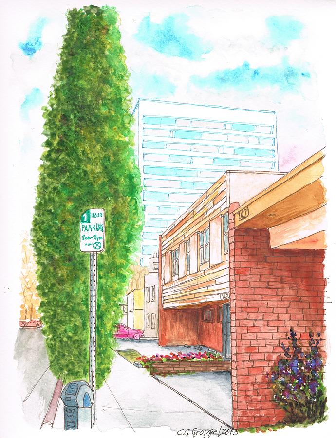 A cypress in Pontios Ave and Santa Monica Blvd., Santa Monica, California Painting by Carlos G Groppa