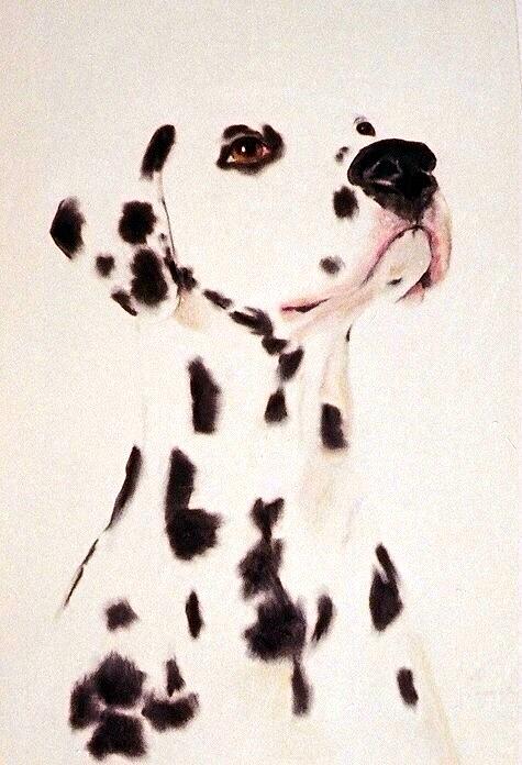 Dog Painting - A Dalmatian Pastel Portrait by Jodie Marie Anne Richardson Traugott          aka jm-ART
