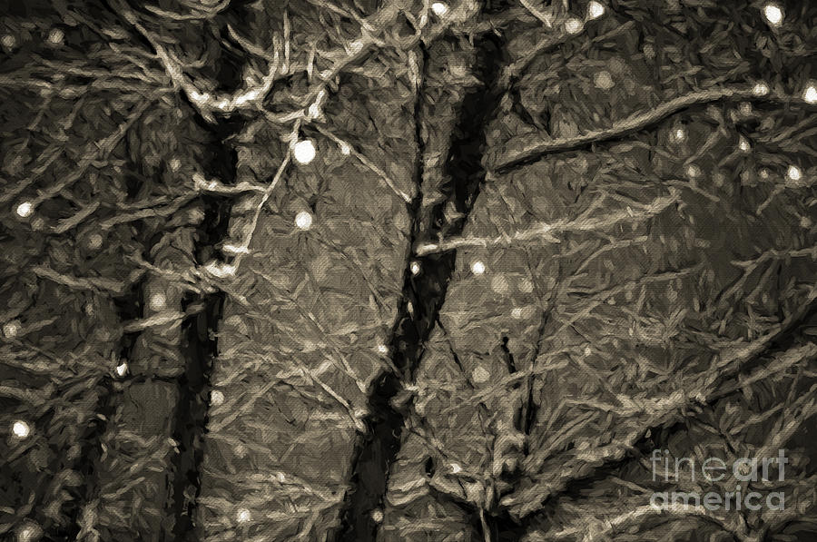 A Dark And Snowy Night Painterly 4 Photograph by Andee Design