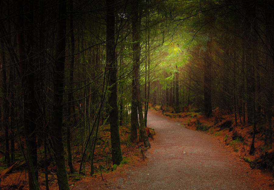 A Dark Path by Johan DeBoer