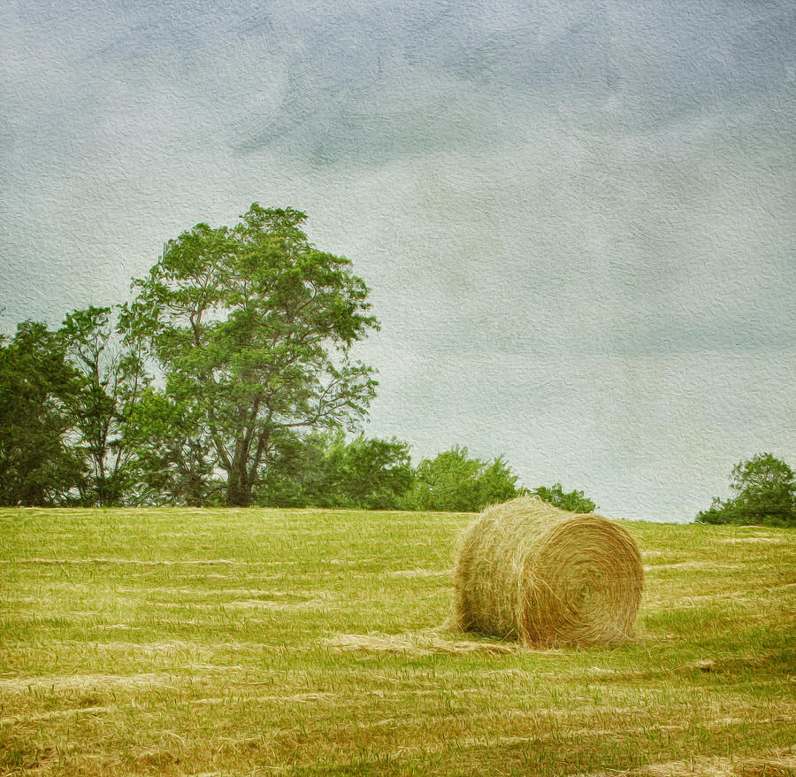 A Day at the Farm Photograph by Kim Hojnacki