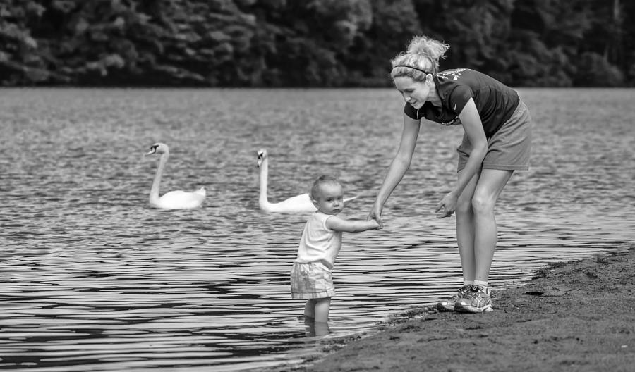 A Day At The Lake Photograph By Brian Stevens