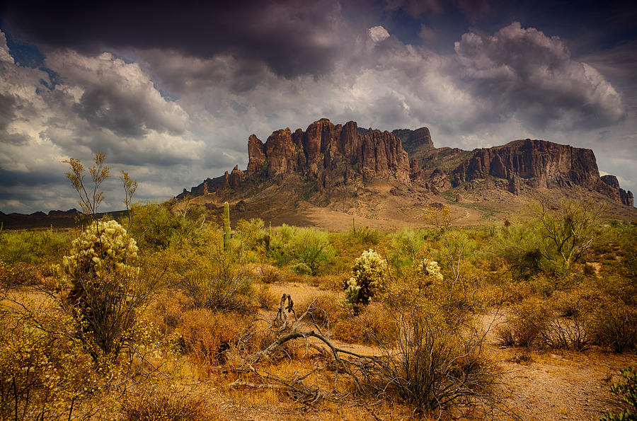 A Day at the Superstitions  Photograph by Saija Lehtonen