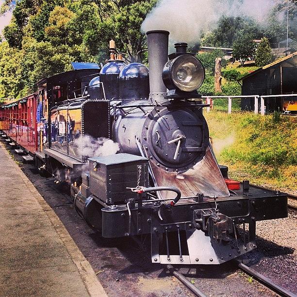 Train Photograph - A Day Out On Puffing Billy! by Darren Frankish