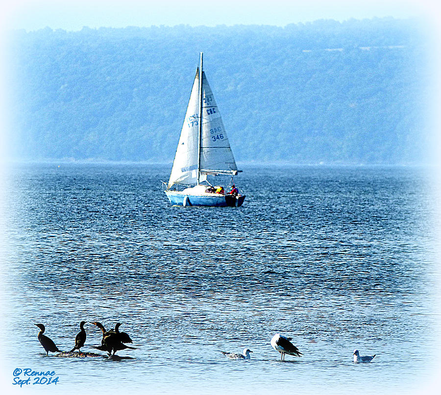 Water Photograph - A Day To Sail by Rennae Christman Water Photograph - A Day To Sail by Rennae Christman