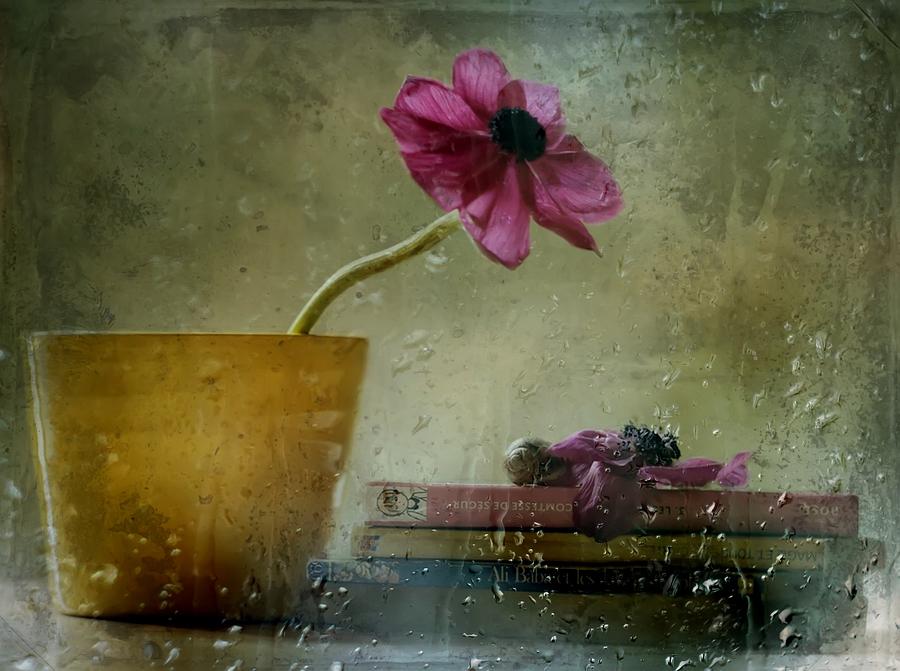 Still Life Photograph - A Day To Stay At Home by Delphine Devos