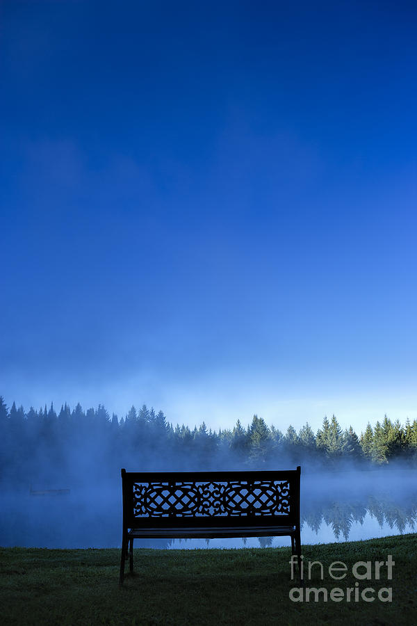 A decorative bench in front of a foggy pond. Photograph by Don Landwehrle