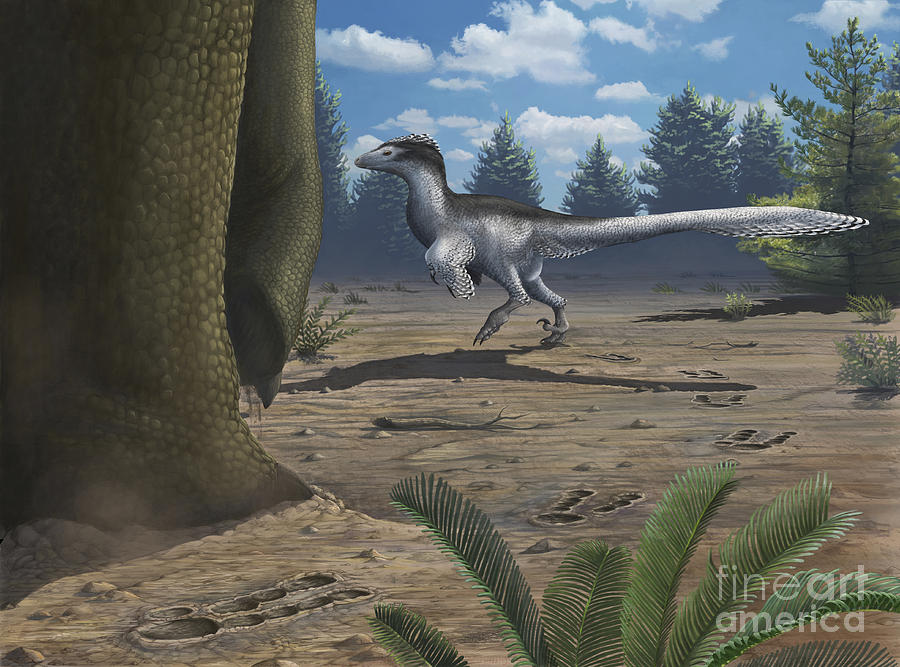 Dinosaur Digital Art - A Deinonychosaur Leaves Tracks by Emily Willoughby