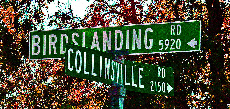 A Delta Crossroad Sign Photograph by Joseph Coulombe