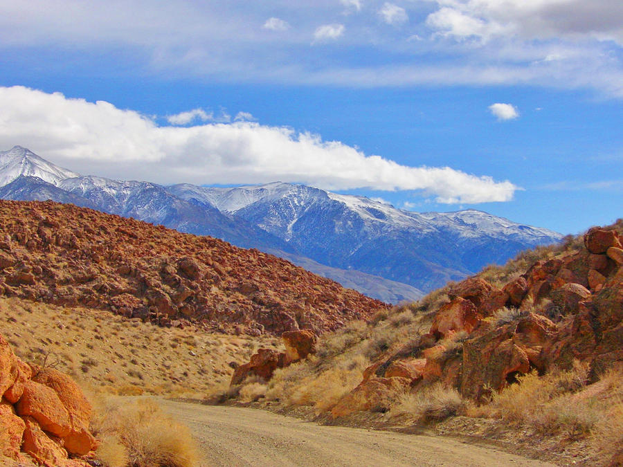 A Desert Drive Photograph by Marilyn Diaz