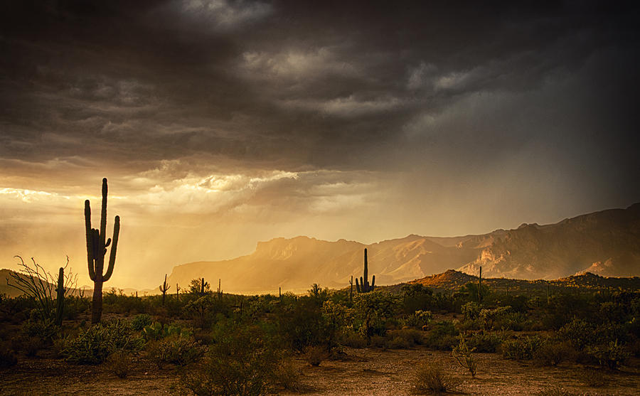 Sunset Photograph - A Desert Monsoon Sunset  by Saija Lehtonen