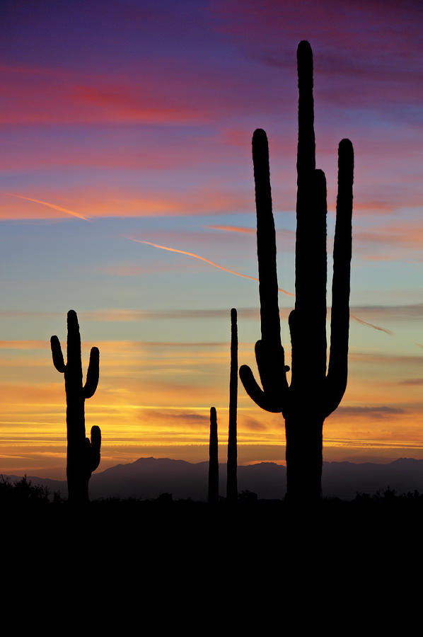 Sunset Photograph - A Desert Rainbow  by Saija Lehtonen