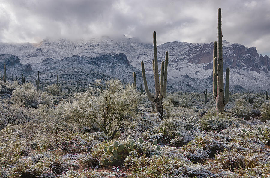 Mountain Photograph - A Desert Winter Wonderland  by Saija Lehtonen