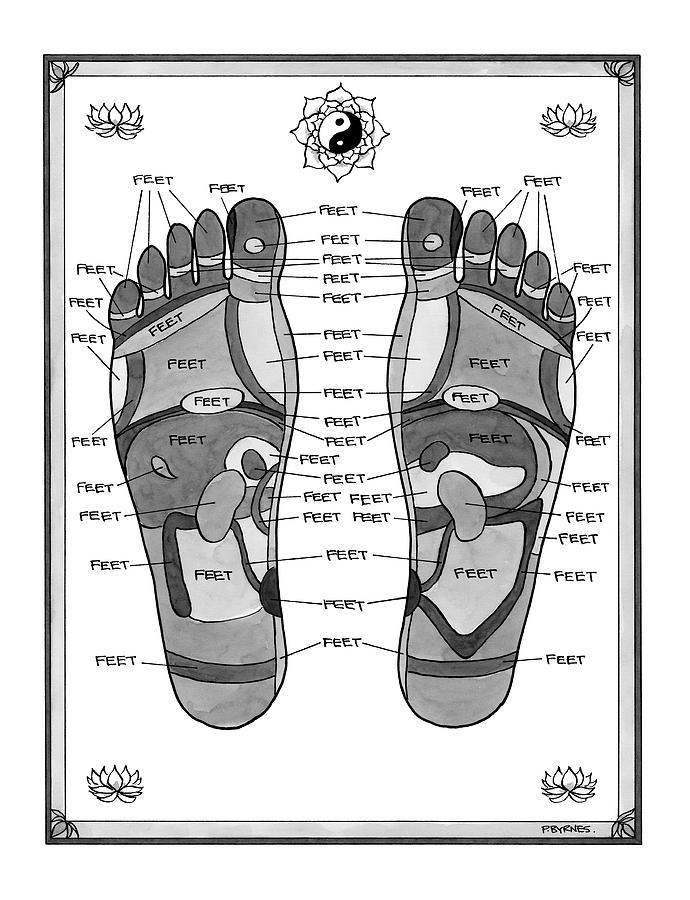 A Diagram Of Parts Of The Foot Drawing by Pat Byrnes