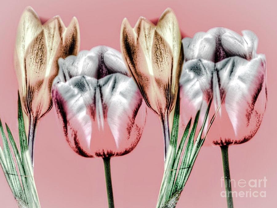 Cool Flowers Digital Art by Gayle Price Thomas