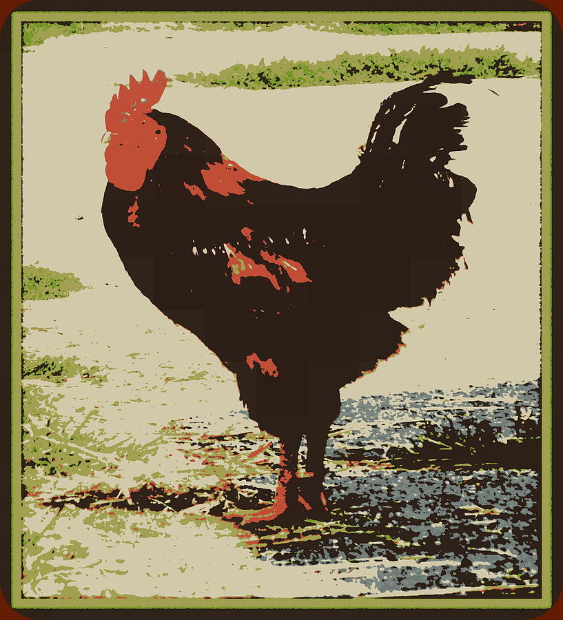 A Different Chicken Photograph by Kathy Barney