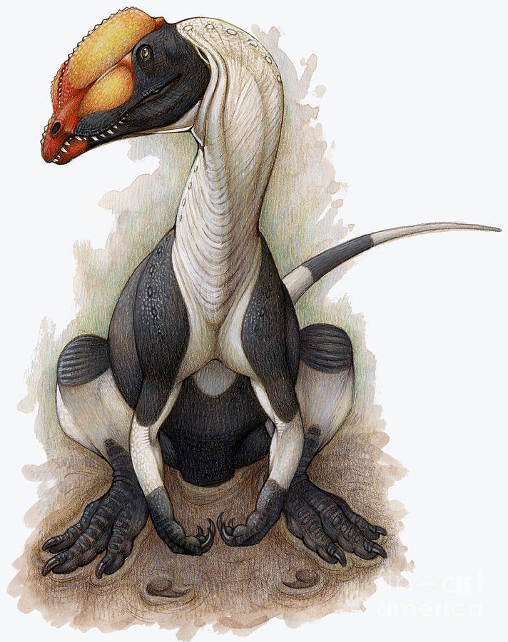 dilophosaurus raptor