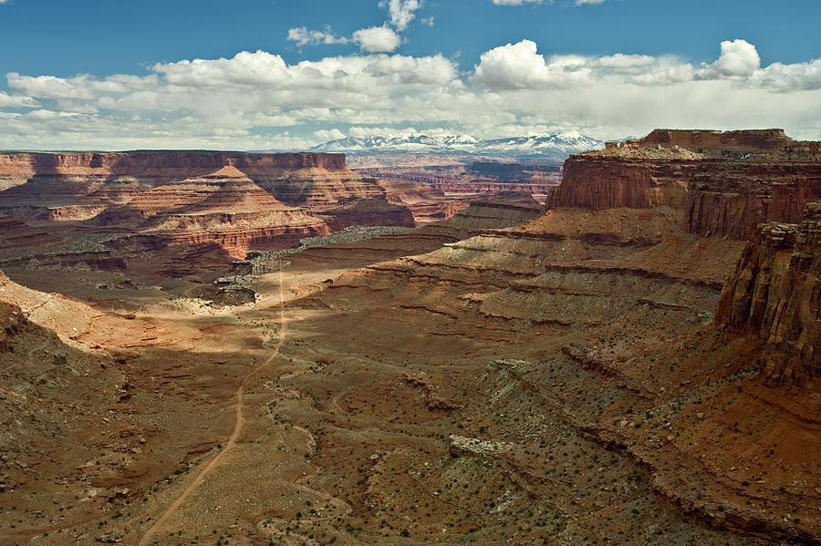 Canyonlands National Park Photograph - A Dirt Road Leading by Whit Richardson
