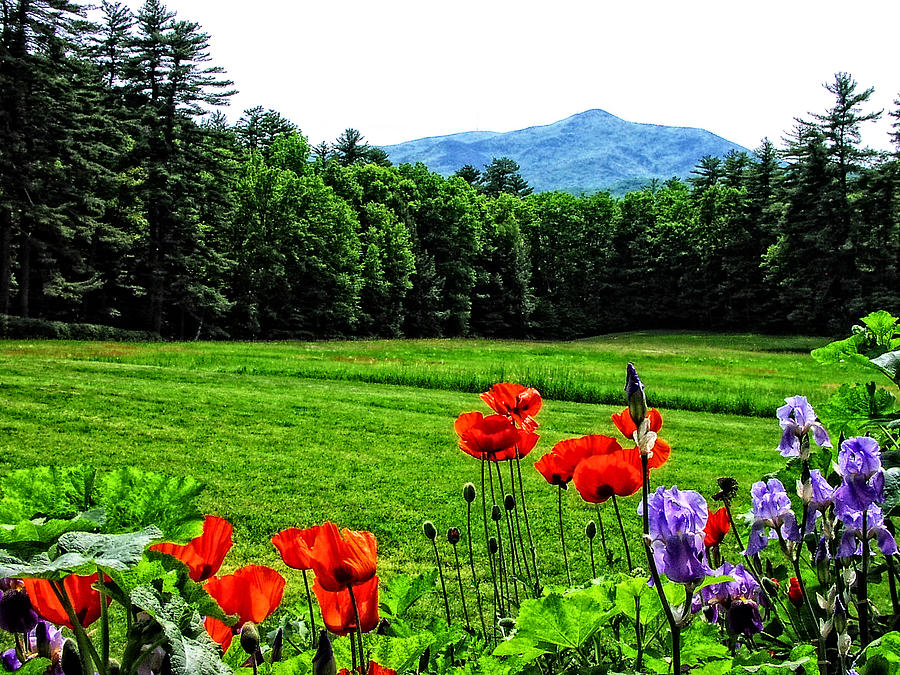 A Distant Mount Ascutney Photograph by Mike Martin